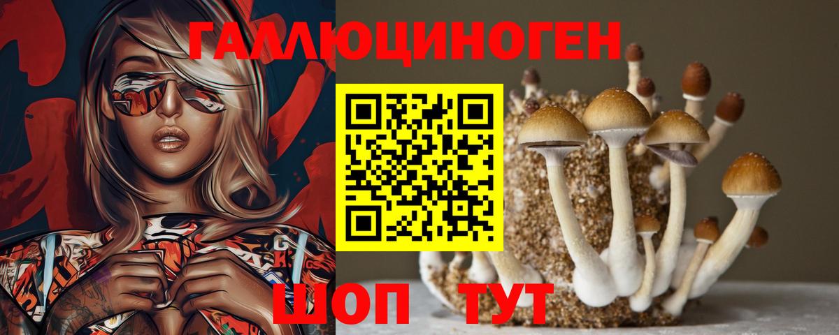 Галлюциногенные грибы прущие грибы  Вход с VPN  где продают наркотики  Донской 