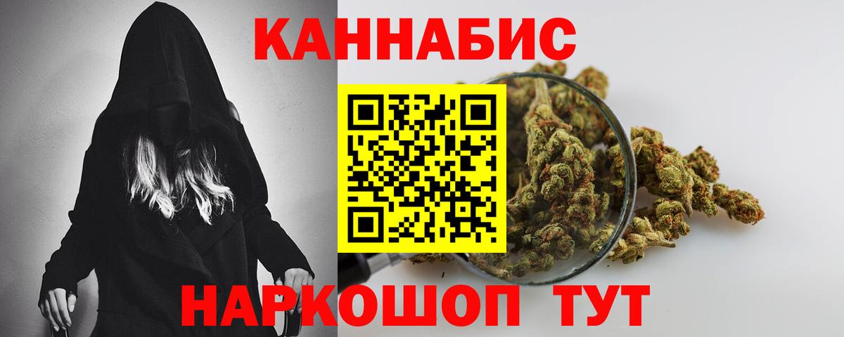 Конопля планчик Донской